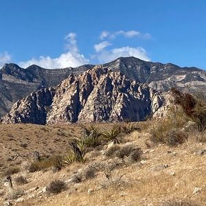 Meet your Posher, Portia